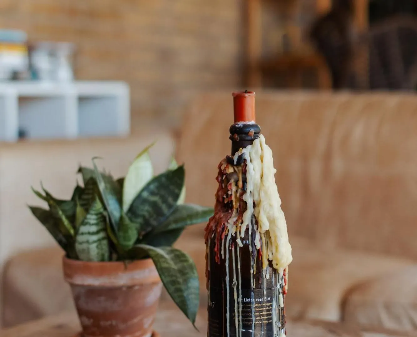 Kemping Hotel Glazen Hex Rotterdam